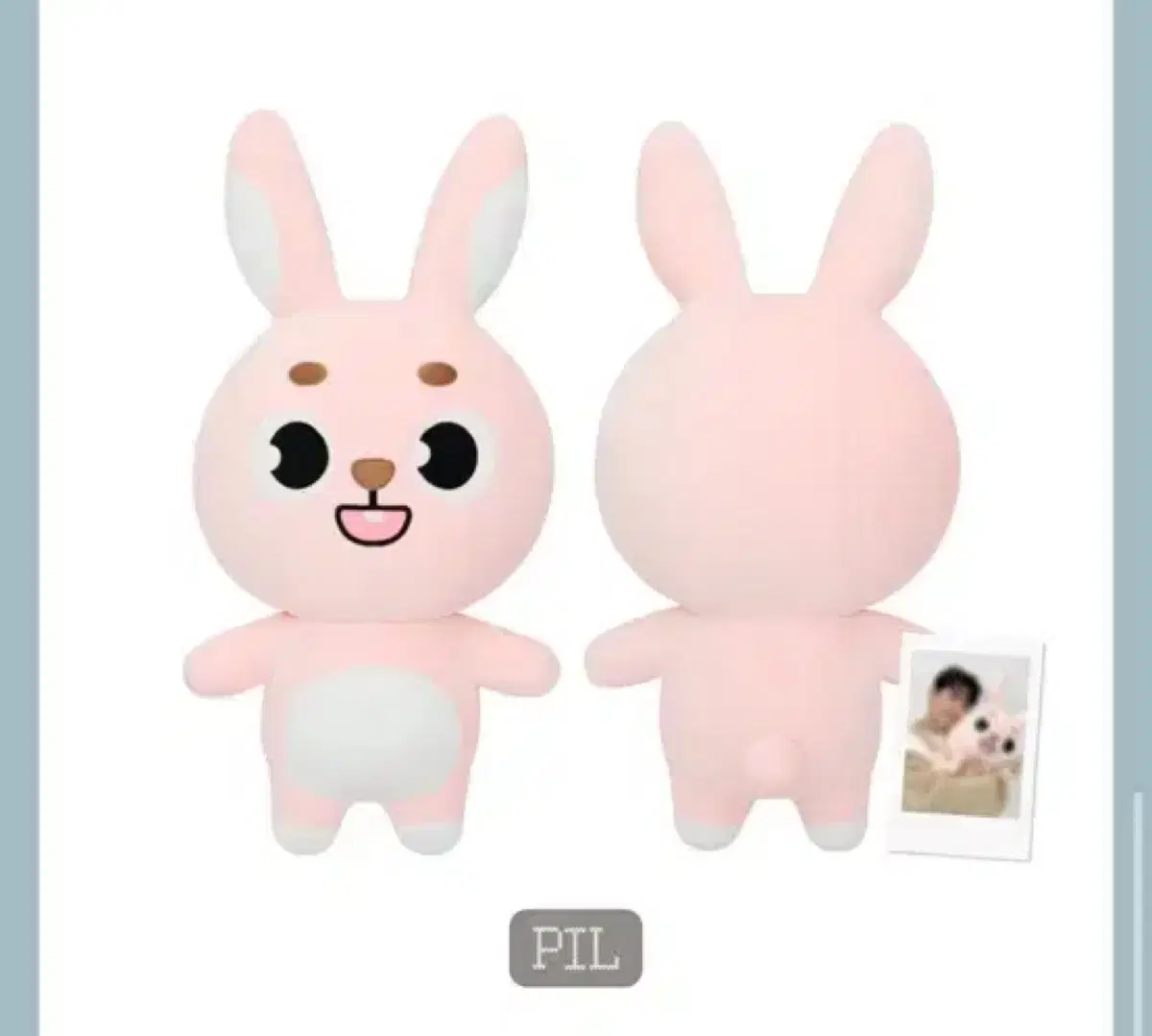 DAY6 ウォンピル うちわ2枚+うちわカバーセット デニマルズ PIL DAY6 ウォンピル うちわ2枚+うちわカバーセット デニマルズ PIL